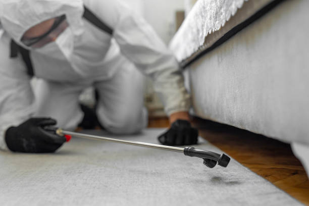 Professional Termite Control technician working in Sackets Harbor, NY